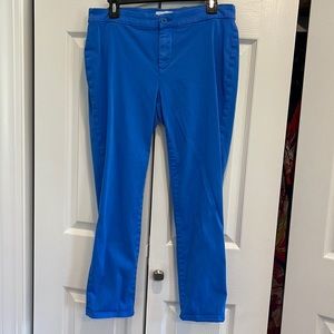 Stitch fix Lila Ryan Zuri Skinny Pant Size 8 Petite